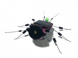 insect op zonne-energie - wsak185
