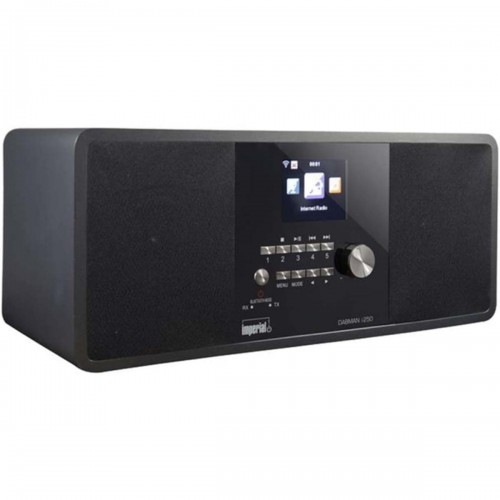 Dabman i250 Zwart - 22-281-00