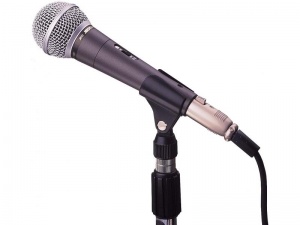 Professionele dynamische microfoon - jb10